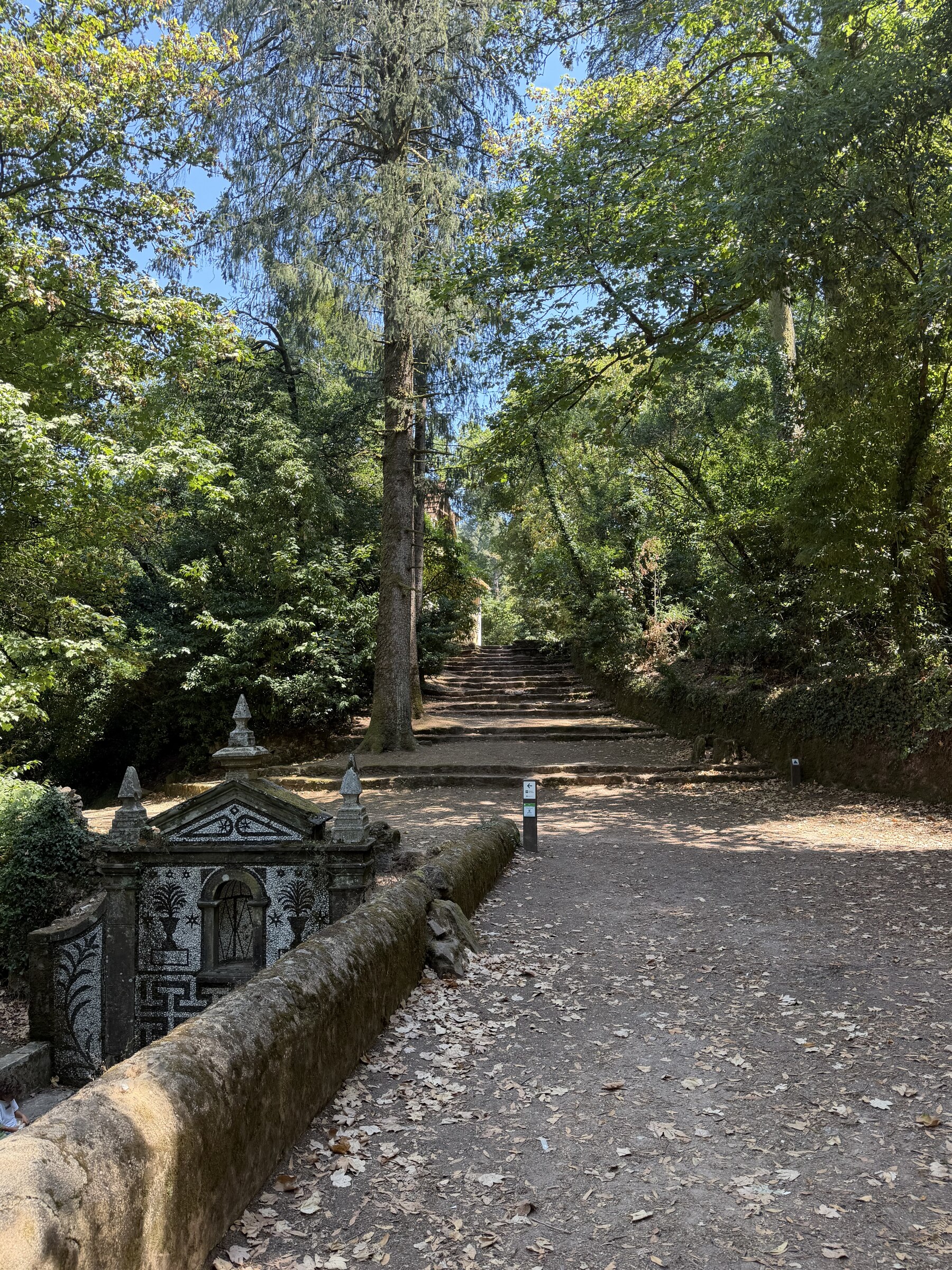 Schattiger Waldweg mit altem Brunnen im Nationalwald Buçaco